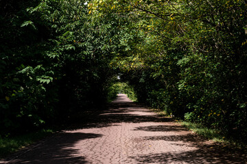 path in the park