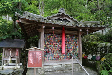 Naklejka premium 正寿院 猪目窓