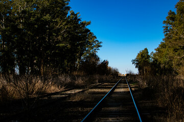 railway in the forest