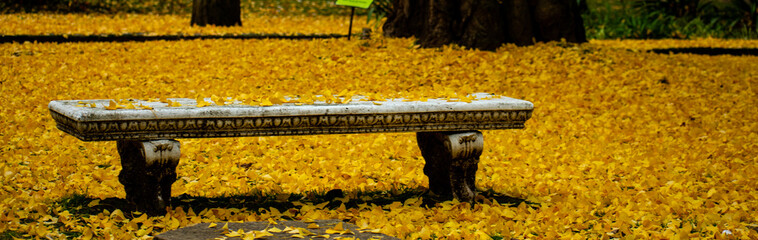 bench in autumn park