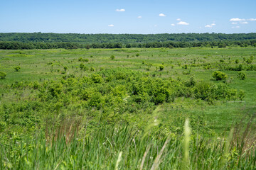 Fototapeta na wymiar Prairie grassland view from the Seppmann Mill in Minneopa State Park - Mankato Minnesota