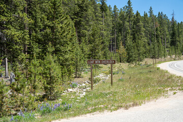 Loaf Mountain Overlook in the Bighorn National Forest in Wyoming