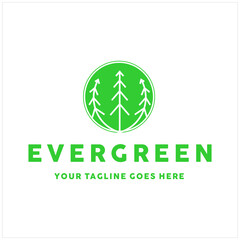pine evergreen fir hemlock spruce conifer , cedar, coniferous, cypress, larch, pinus trees forest isolated with green circle vintage retro hipster line art Logo design