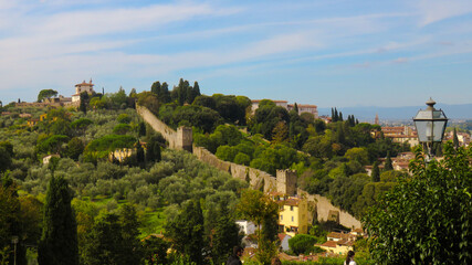 Fototapeta na wymiar panoramic view of the city of florence