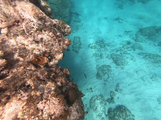 Snorkeling in Cuba