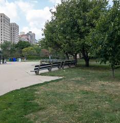 bench and people in city park surrounded by grass, trees, and highrises in Chicago © Bonnie