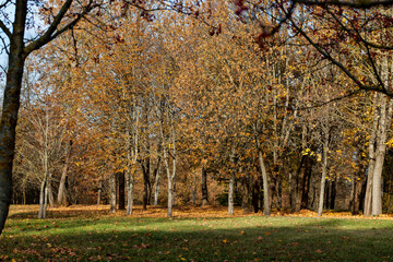 features of autumn weather