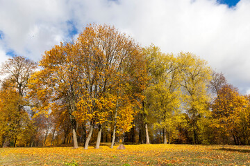 autumn nature