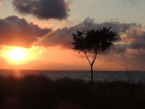 beach sunrise