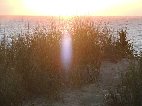 beach sunrise