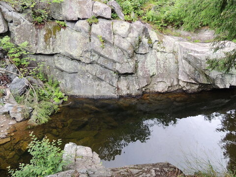 water hole