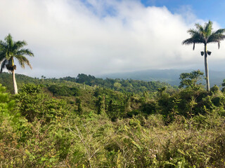 Fototapeta premium The Cuban countryside