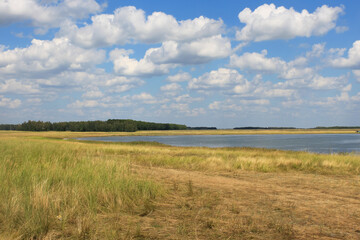 autumn landscape with lake and white fluffy clouds in the sky