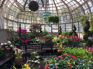 flower garden in greenhouse conservatory