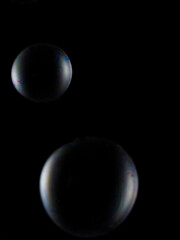 Obraz na płótnie Canvas Soap bubble on black background