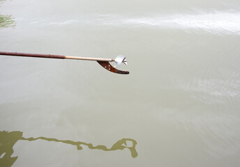 The propeller of a long tail boat is used to propel the boat.
