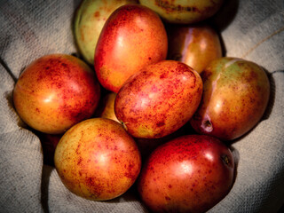 Plums Freshly Picked, Background