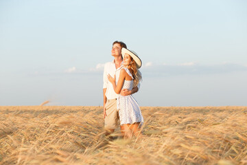 Fototapeta na wymiar Happy couple on a summer evening walking in the field with yellow rye