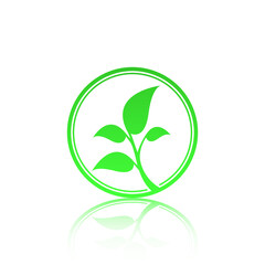 Tree leaf nature illustration