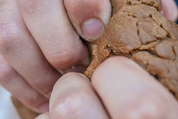 Delicious homemade sweet bread held by hands in close up.