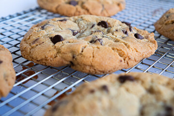 Delicious homemade chocolate chip cookies in close up.