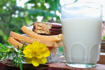 Dry rusk bread, choco pie chocolate and a glass of milk isolated on nature background. Healhty breakfast menu