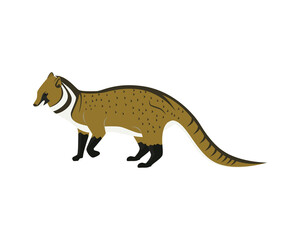 Detailed Civet with Standing Gesture Illustration