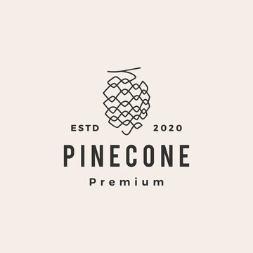 pine cone hipster vintage logo vector icon illustration