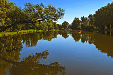 Nature. Summer park.