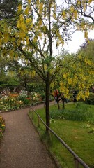 Admiring the flowers and landscapes of our world