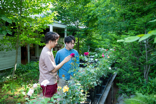 Young Men Shopping in the Garden Shop