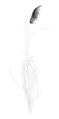 Detailed outline flower isolated on white background. 3D. Vector illustration