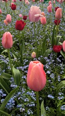 Admiring the flowers and landscapes of our world