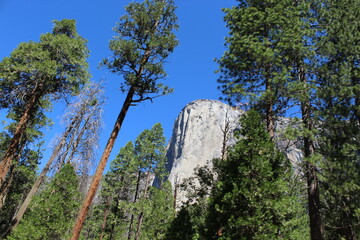 Nature Photos