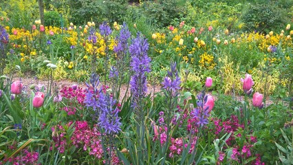 Admiring the flowers and landscapes of our world