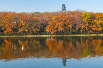 Hubei Wuhan East Lake Scenic Area Late Autumn  Scenery