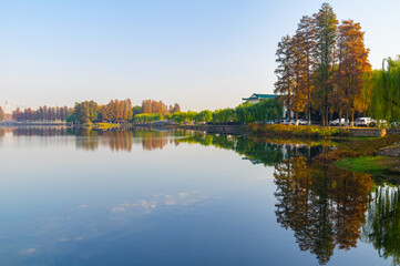 Hubei Wuhan East Lake Scenic Area Late Autumn  Scenery