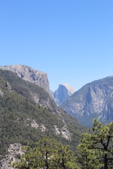 Obraz premium Nature Photos