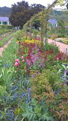 Admiring the flowers and landscapes of our world