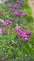 Admiring the flowers and landscapes of our world