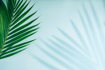 Tropical palm leaves with shadow on blue background. Minimal nature. Summer Styled. Flat lay. Free copy space for text.