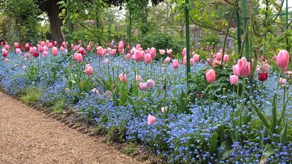 Admiring the flowers and landscapes of our world