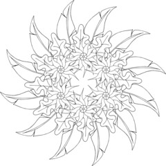 black and white abstract flower