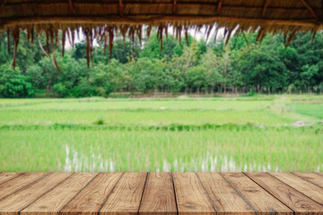 rice field in thailand table background