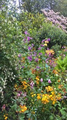 Admiring the flowers and landscapes of our world