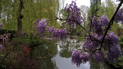 Admiring the flowers and landscapes of our world