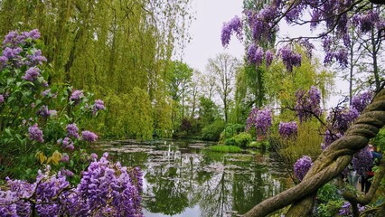 Admiring the flowers and landscapes of our world