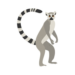 Fototapeta na wymiar Cute funny lemur on an isolated white background. Vector stock illustration. Cartoon style, flat design with textured effect. Exotic animal primate, monkey. Hand-drawn illustration, poster.