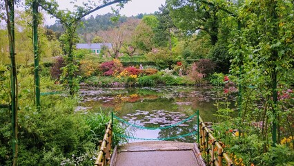 Admiring the flowers and landscapes of our world