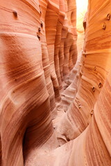 Zebra Canyon in Grand Staircase Escalante National Monument, Utah.